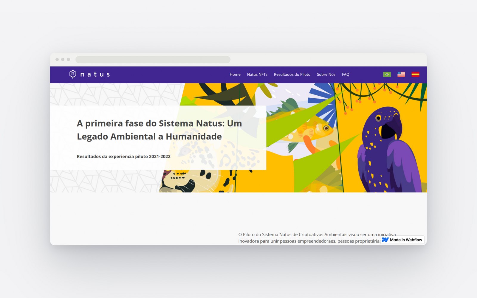 Página de resultados da fase piloto